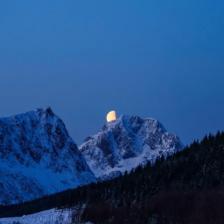 Luxurious By The Waterfront * Leknes